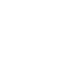 Skill Icon Graphql