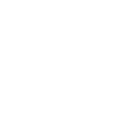 Skill Icon DatoCMS
